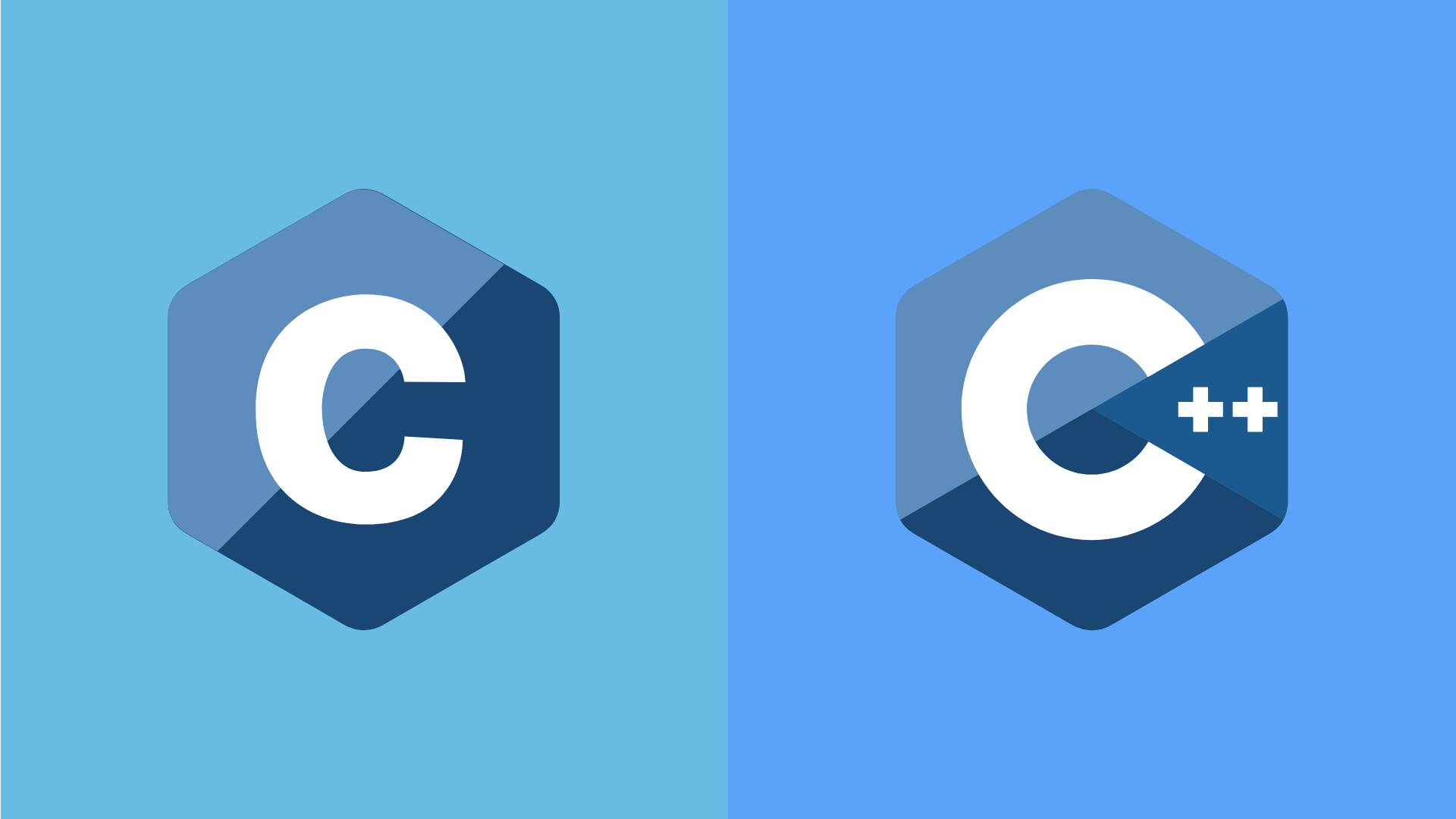 An Image Of The C & C++ Programming Language