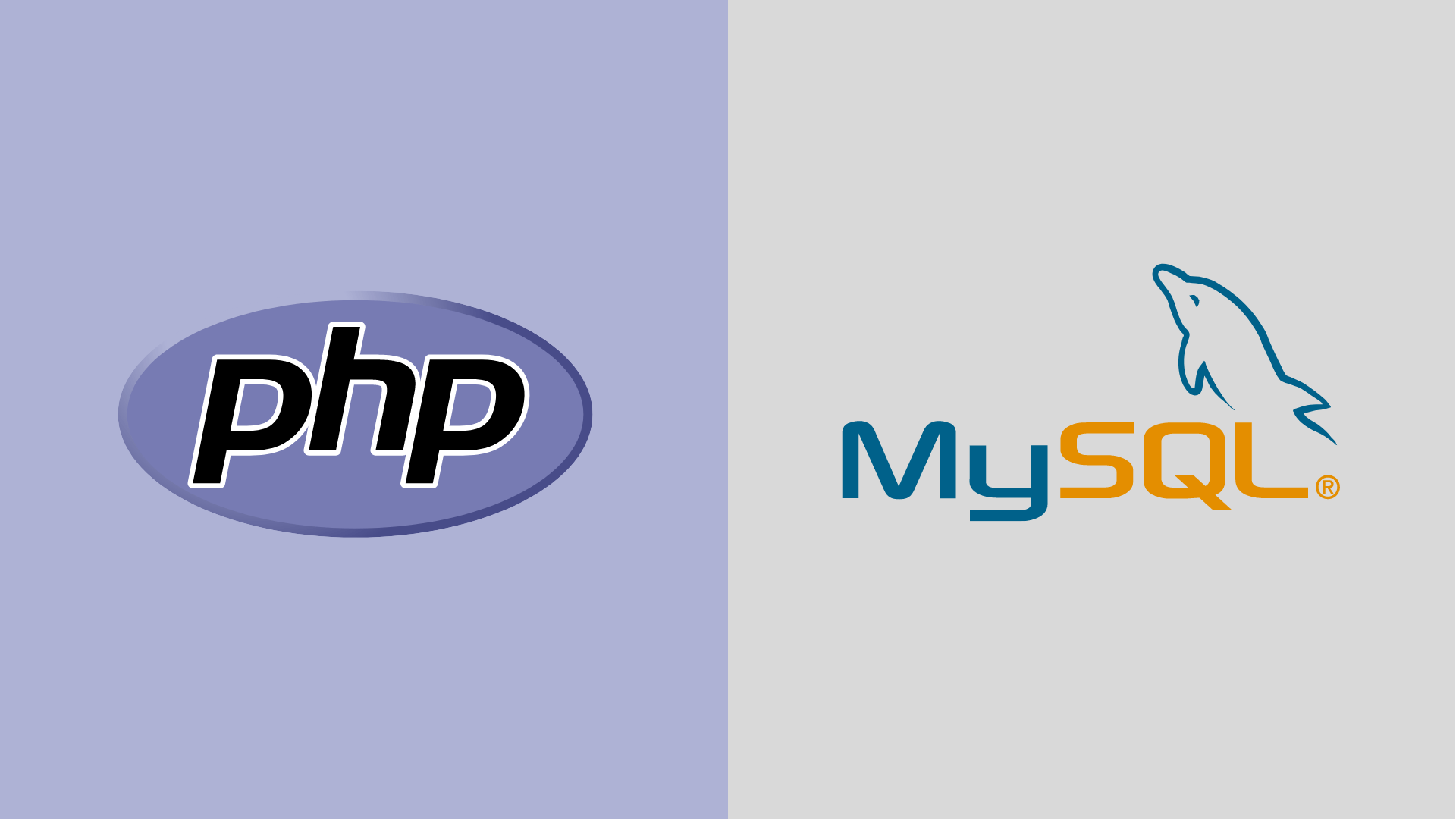 An Image Of The PHP Programming Language & MYSQL Database System